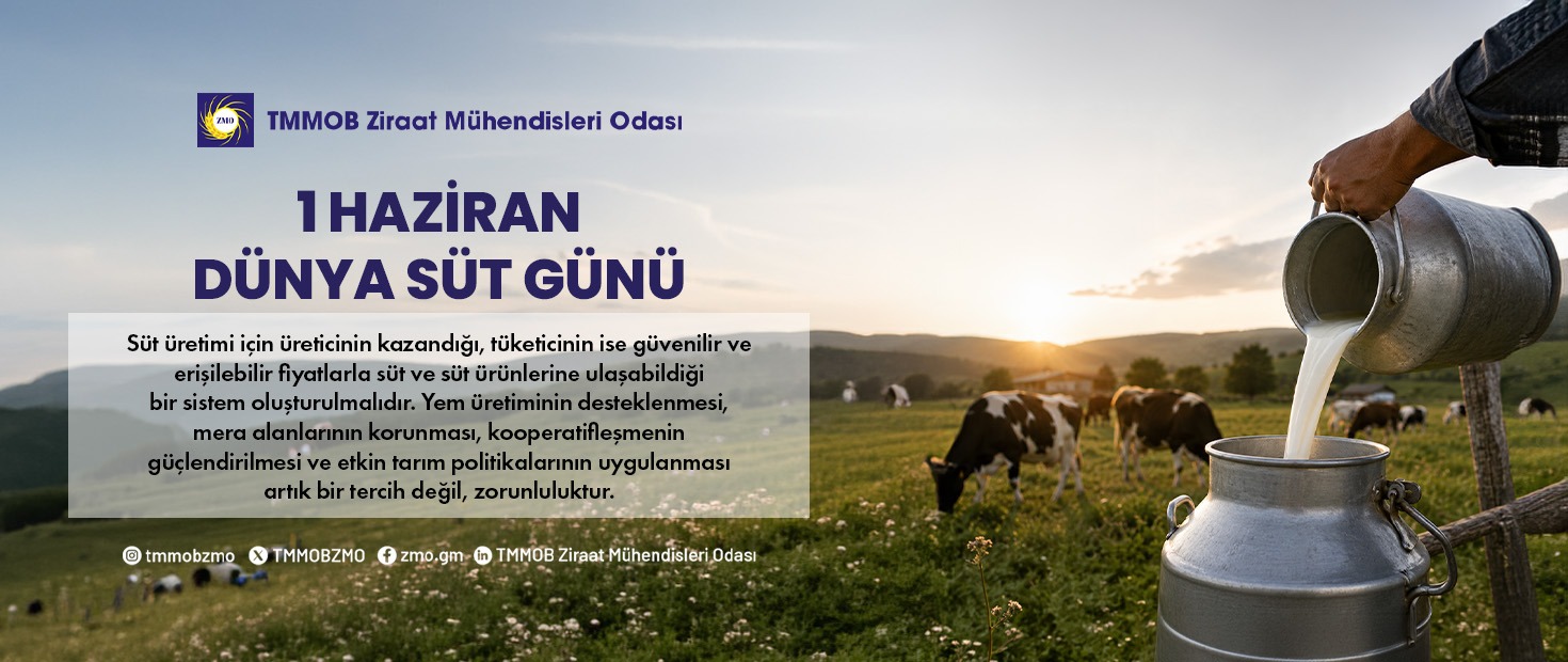 1 HAZİRAN DÜNYA SÜT GÜNÜ
