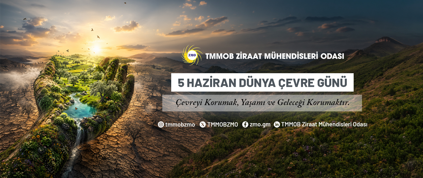 5 HAZİRAN DÜNYA ÇEVRE GÜNÜ