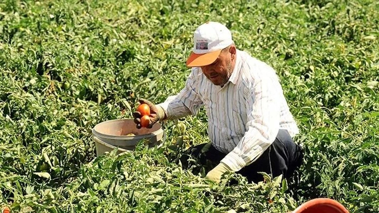 İSTİKBAL GAZETESİ: ESKİŞEHİR'DE ÇİFTÇİYE ALTIN DEĞERİNDE FIRSAT: YENİ ÜRETİM MODELLERİ GELİYOR-8 HAZİRAN 2026