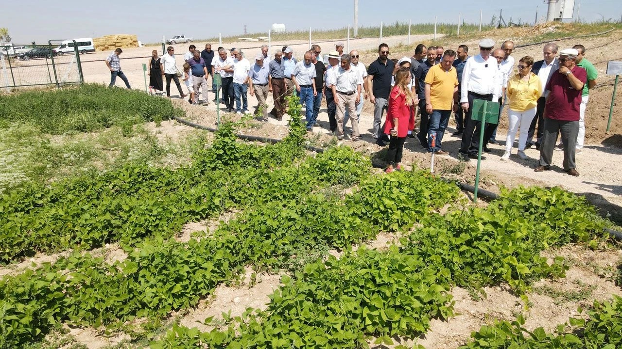 ES GAZETE: "TARLA GÜNÜ"NDE 15 FARKLI ÇEŞİT ÜRETİCİYLE BULUŞACAK- 1 TEMMUZ 2026