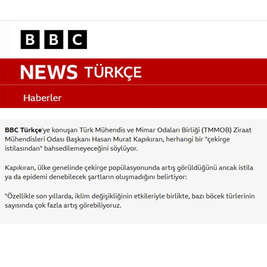 BBC NEWS TÜRKÇE: BAZI KENTLERDE GÖRÜLEN ÇEKİRGE YOĞUNLUĞU NE ANLAMA GELİYOR?- 21 TEMMUZ 2026 