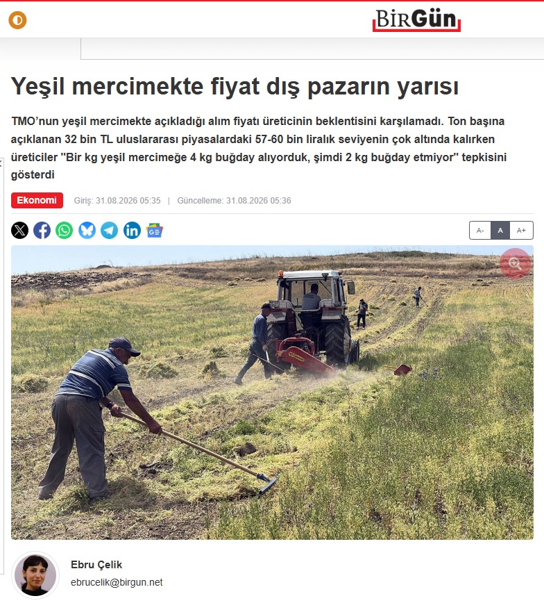 BİRGÜN GAZETESİ: YEŞİL MERCİMEKTE FİYAT DIŞ PAZARIN YARISI- 31 AĞUSTOS 2026 