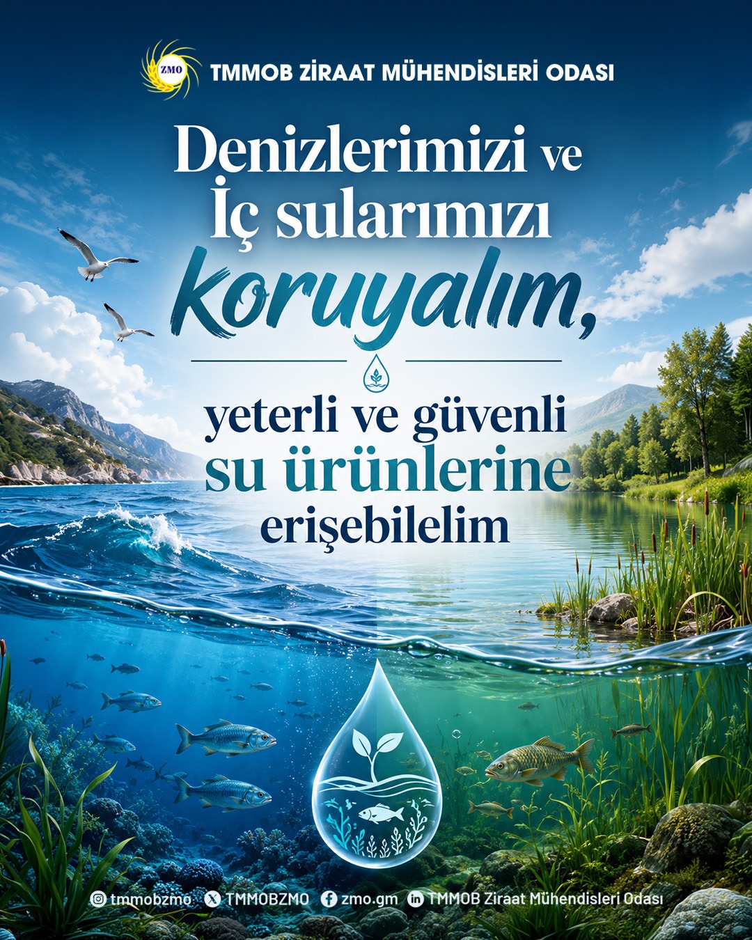 DENİZDEN SOFRAYA  DOĞAYA SAYGIYLA  BALIKÇILIĞIN GELECEĞİNİ KORUYALIM