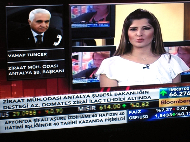 BLOOMBERG TV YAYINI - DOMATES GÜVESİ