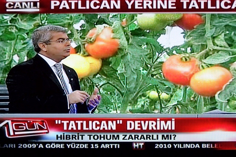 HABERTURK TV YAYINI