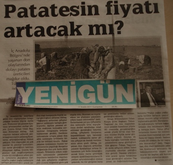 PATATESİN FİYATI ARTACAK MI?-YENİGÜN
