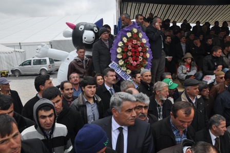 I. BUZAĞI GÜZELLİK YARIŞMASI