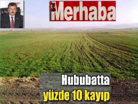“HUBUBATTA YÜZDE 10 KAYIP”- MERHABA