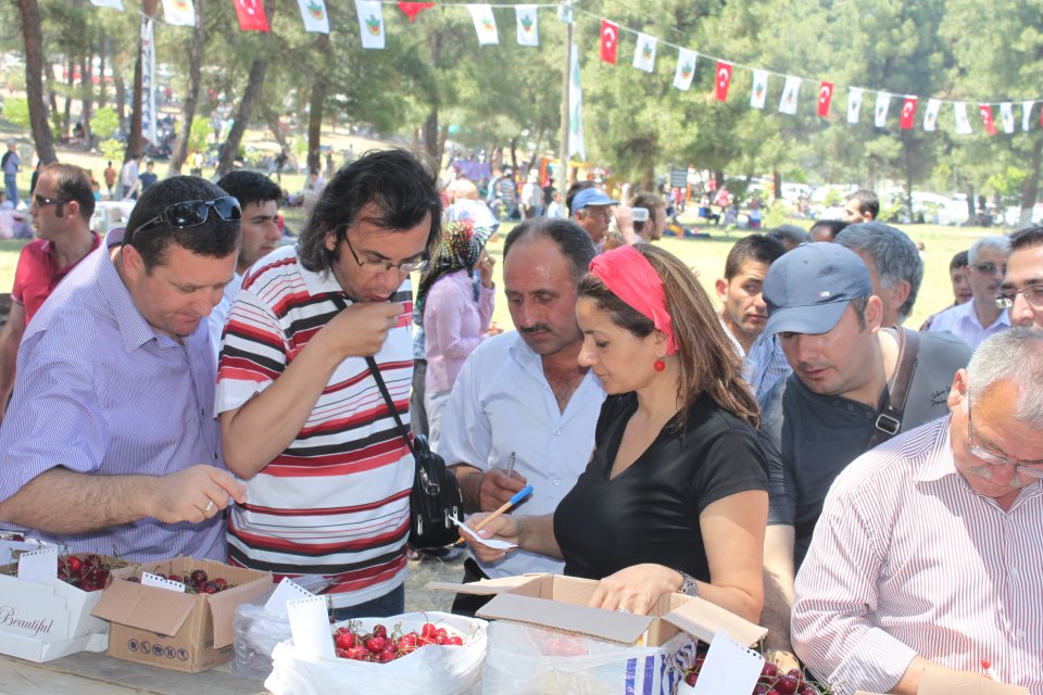 KARAGÖZ KÜLTÜR ŞENLİĞİ ÇİLEK VE KİRAZ YARIŞMASINDA JÜRİ ÜYELİĞİ YAPTIK