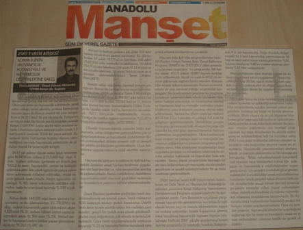 ZMO TARIM KÖŞESİ- KONYA İLİNİN HAYVANCILIK POTANSİYELİ VE HAYVANCILIK DESTEKLERİNE BAKIŞ-ANADOLU MANŞET