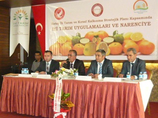 İYİ TARIM UYGULAMALARI VE NARENCİYE