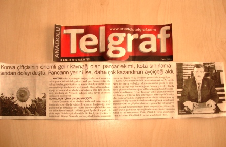 “AYÇİÇEĞİ EKİMİ ARTTI”-ANADOLU TELGRAF
