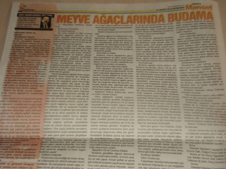 ZMO TARIM KÖŞESİ-“MEYVE AĞAÇLARINDA BUDAMA”-ANADOLU MANŞET