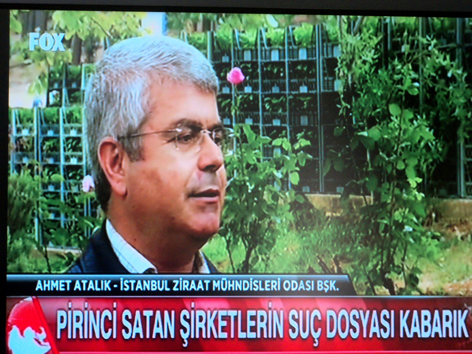 FOX VE BENGÜTÜRK TV YAYINLARI