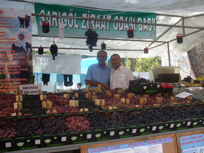 SARIGÖL SULTANİ ÜZÜM FESTİVALİNE KATILDIK