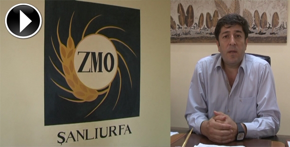 PAMUK ÜRETİM SEZONU BAŞLADI