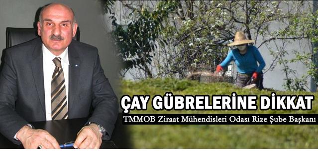 ÇAYLIK ALANLARIN GÜBRELENMESİ