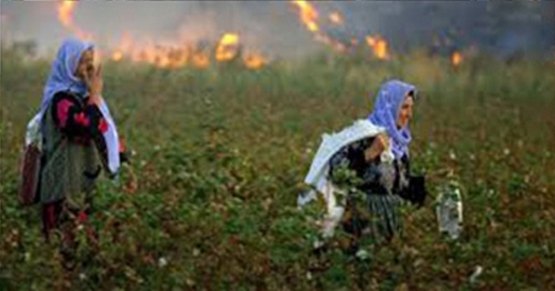 MEVSİMLİK TARIM İŞÇİLERİ YİNE UNUTULDU...