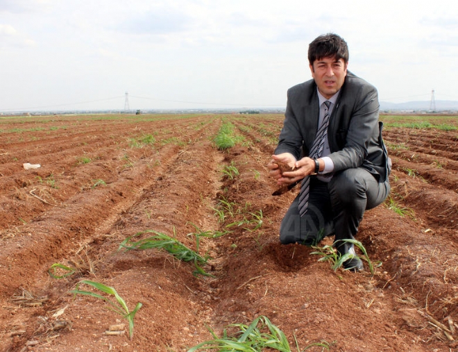 ÇİFTÇİLERİN ELEKTRİK VE SU TALEBİNE ÇÖZÜM ÖNERİSİ - YENİ URFA GAZETESİ
