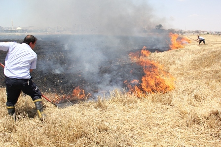ANIZ SEZONU BAŞLADI!