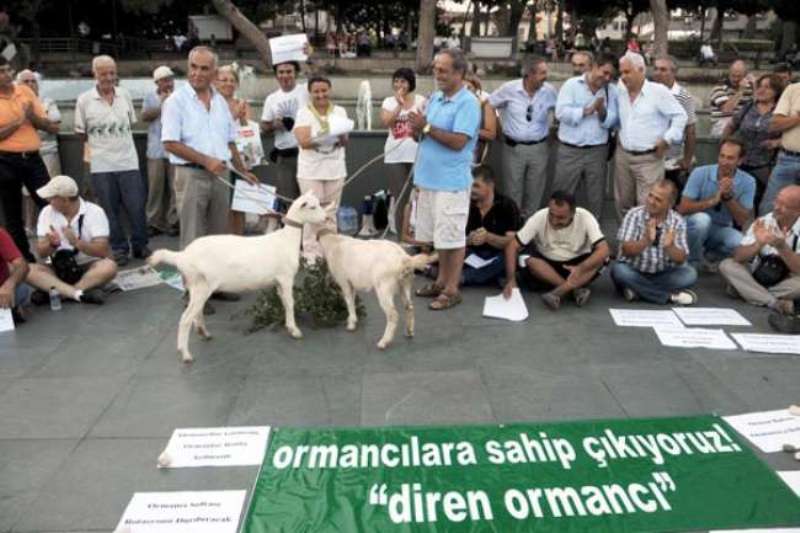 ORMAN BAKANLIĞI ÇALIŞANLARININ ROTASYON ADI ALTINDA SÜRGÜN EDİLMESİNE TEPKİ 