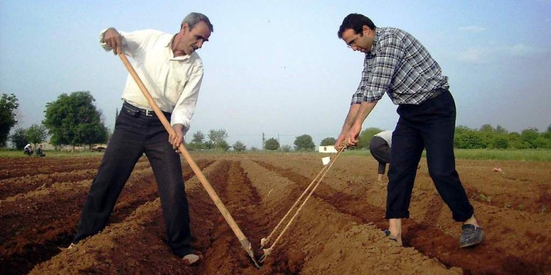 PRİM DESTEĞİ ARTIŞI ŞANLIURFALI ÇİFTÇİYİ UMUTLANDIRDI - ŞANLIURFA OLAY