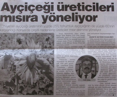 “AYÇİÇEĞİ ÜRETİCİLERİ MISIRA YÖNELİYOR”-ANADOLU AJANS HABERİ