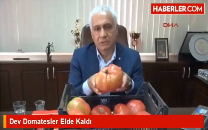 DOĞAN HABER AJANSI İLE RÖPORTAJ