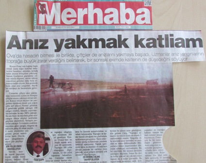 “ANIZ YAKMAK KATLİAM”-MERHABA