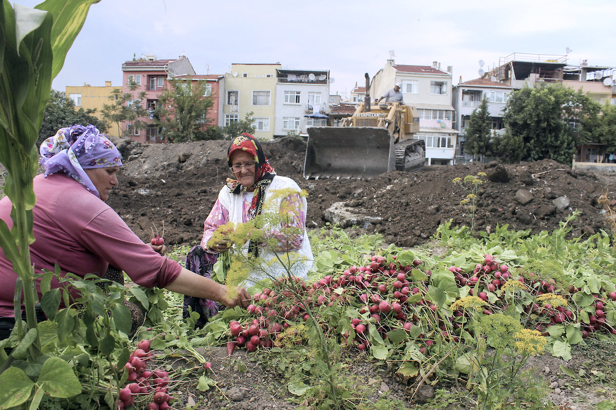 YEDİKULE BOSTANLARI TOPLANTISI