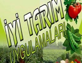 İYİ TARIM UYGULAMALARI EĞİTİMİ/ŞANLIURFA 06 MAYIS 2016