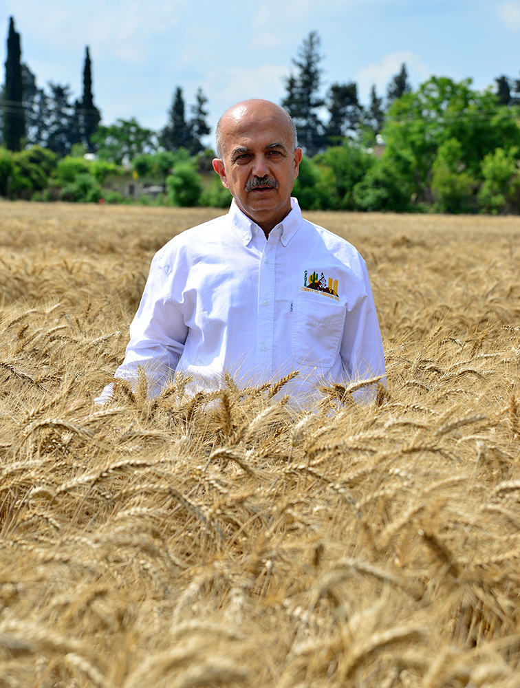 ADANA`DAN DÜNYA'YA 4 YENİ BUĞDAY 
