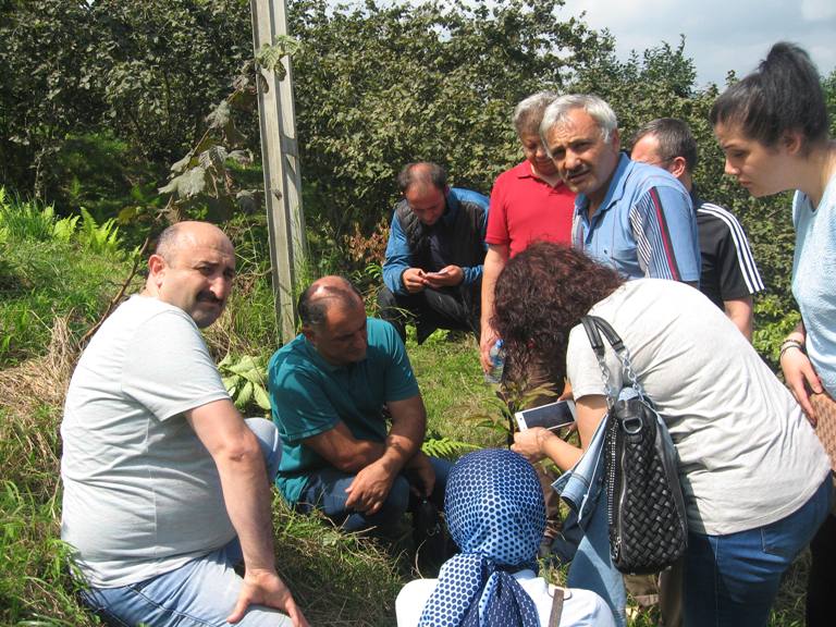 MEYVECİLİKTE AŞILAMA ARAZİ EĞİTİMİ