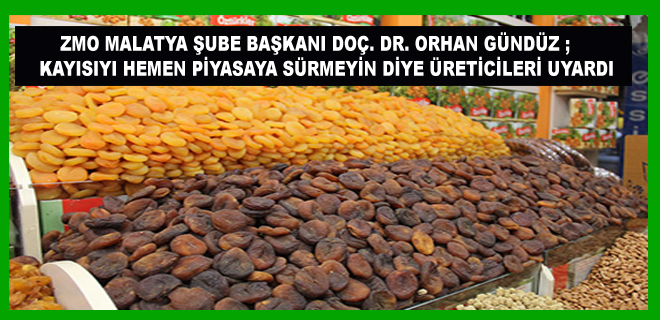 ŞUBE BAŞKANI DOÇ. DR. ORHAN GÜNDÜZ`ÜN, KAYISI HASADI AÇIKLAMASI