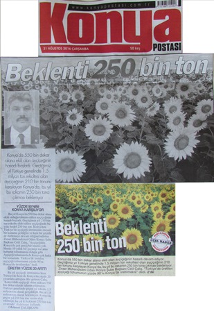BEKLENTİ 250 BİN TON KONYA POSTASI 31.08.2016