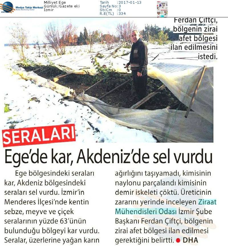 MİLLİYET EGE-MENDERES İLÇESİNDE KAR ZARARI 