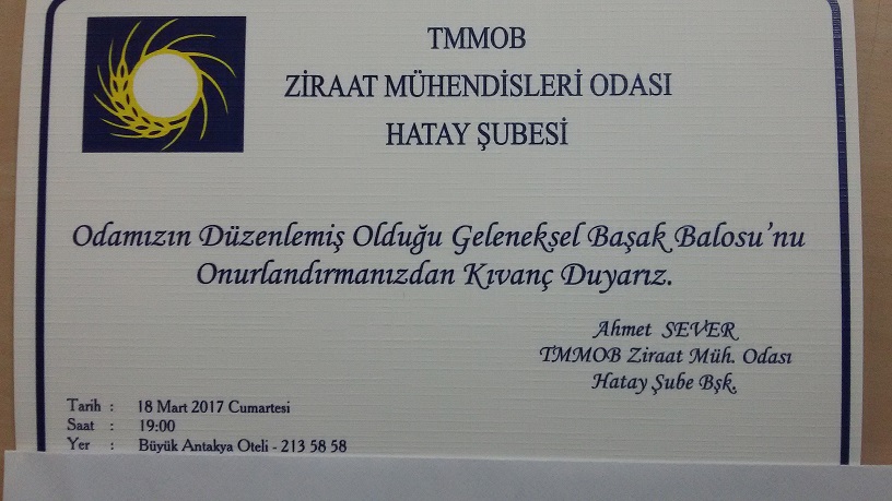 "GELENEKSEL BAŞAK BALOSU"