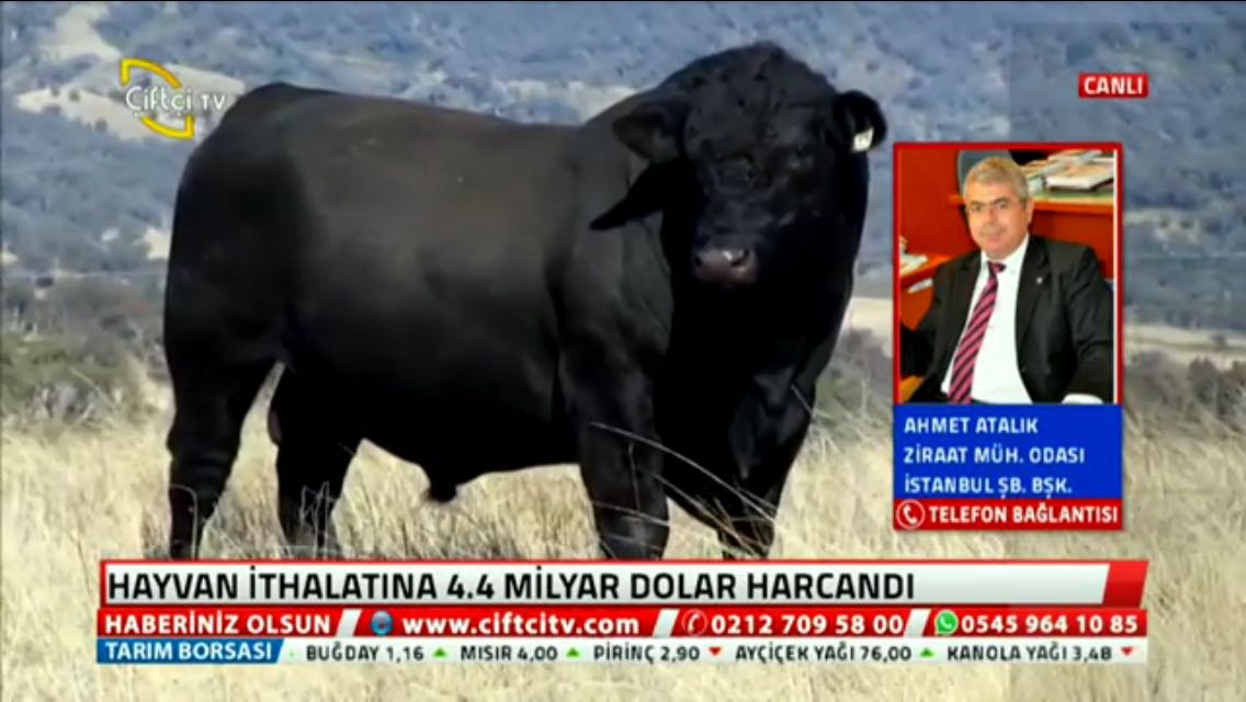 ÇİFTÇİ TV-CANLI HAYVAN İTHALATI