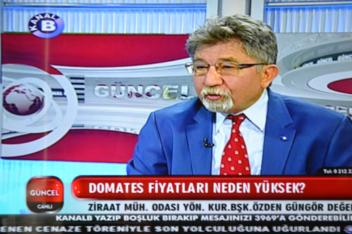 KANAL B-DOMATES FİYATLARININ YÜKSELMESİ