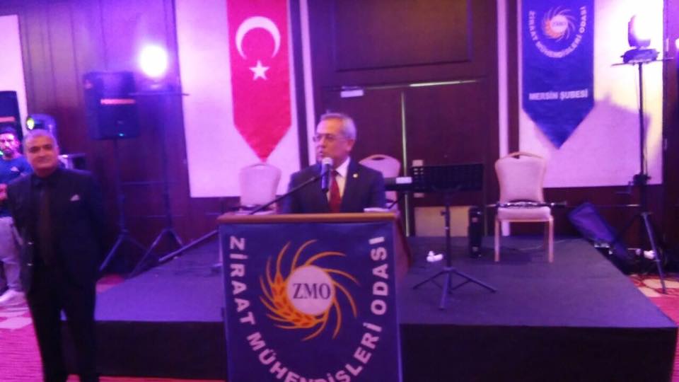 GELENEKSEL BAŞAK BALOMUZ