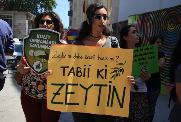 GAZETE KARINCA / ZEYTİN Mİ? TESİS Mİ? DİYEN YILDIRIM`A YANIT: TABİİ Kİ ZEYTİN / 8 HAZİRAN 2017 