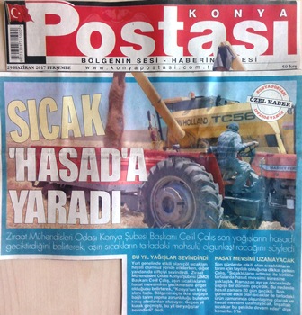 SICAKLAR HASADA YARADI