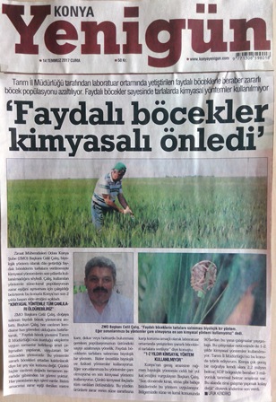 `FAYDALI BÖCEKLER KİMYASALI ÖNLEDİ` - KONYA YENİGÜN GAZETESİ