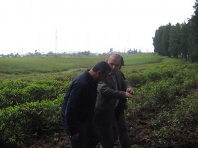 GÜRCİSTAN'DAKİ ÇAY BAHÇELERİNİ ZİYARET ETTİK