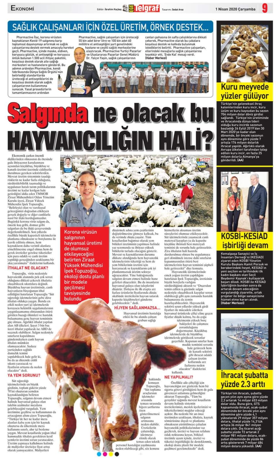 EGE TELGRAF GAZETESİ: SALGINDA NE OLACAK BU HAYVANCILIĞIN HALİ?- 1 NİSAN 2020