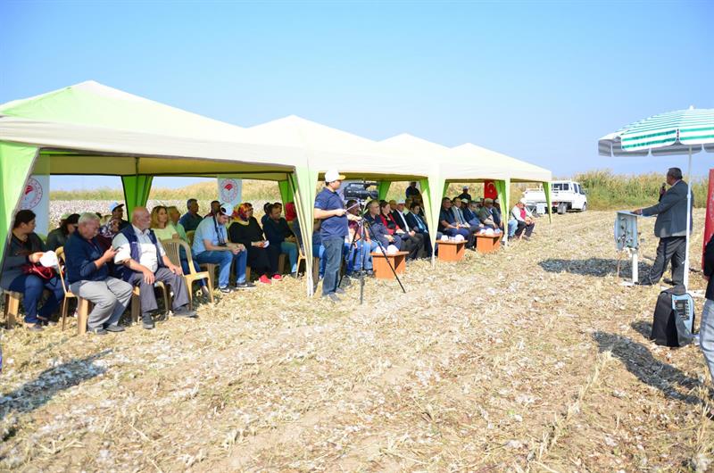 YENİ GELİŞTİRİLEN YERLİ PAMUK ÇEŞİTLERİNİN TANITIMI TARLA GÜNÜ