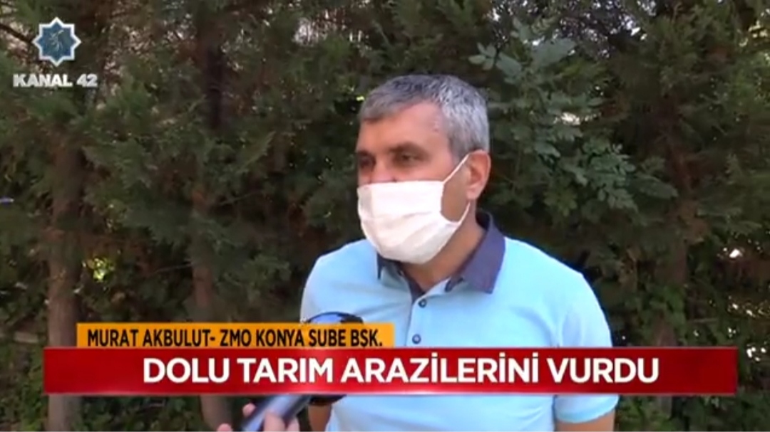 DOLU ZARARLARI VE ALINABİLECEK TEDBİRLER