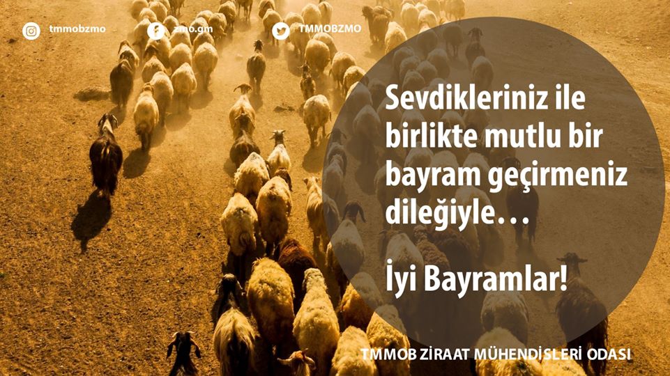 SEVDİKLERİNİZ İLE BİRLİKTE MUTLU BİR BAYRAM GEÇİRMENİZ DİLEĞİYLE...
İYİ BAYRAMLAR!