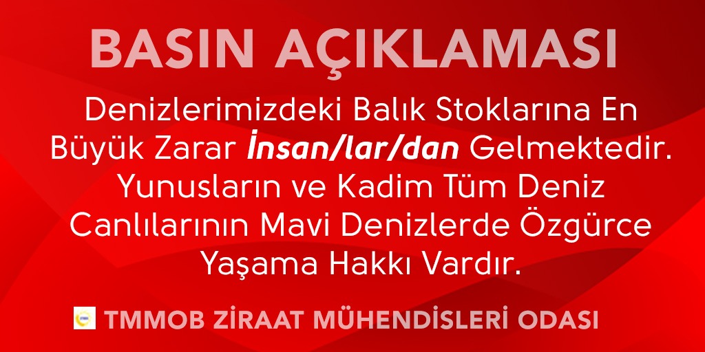 DENİZLERİMİZDEKİ BALIK STOKLARINA EN BÜYÜK ZARAR

İNSAN/LAR/DAN GELMEKTEDİR.

YUNUSLARIN VE KADİM TÜM DENİZ CANLILARININ

MAVİ DENİZLERDE ÖZGÜRCE YAŞAMA HAKKI VARDIR.