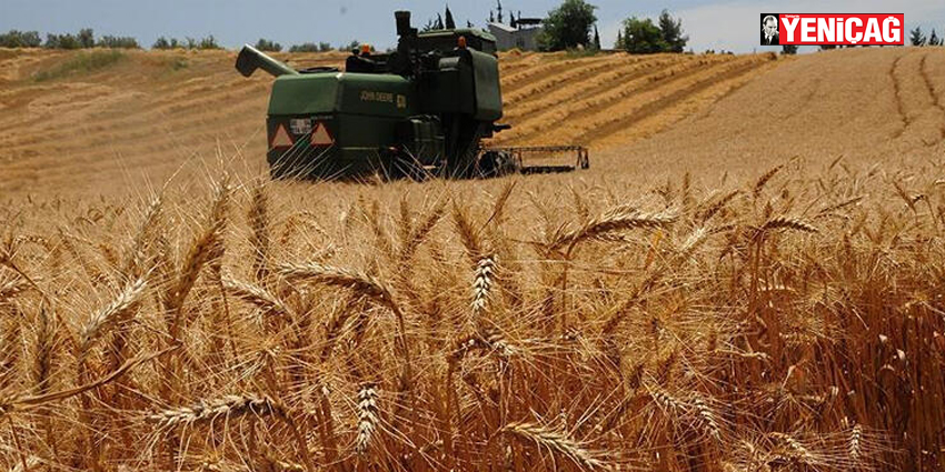 YENİÇAĞ GAZETESİ: PAHALI BUĞDAY İTHALATI EKMEĞE ZAM ALARMI- 17 OCAK 2021